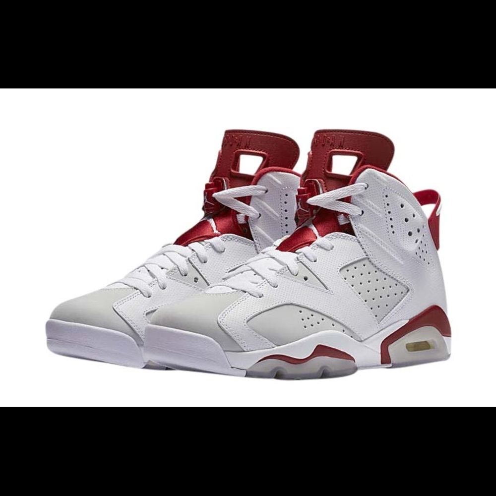Retro Air Jordan 6 Alternate Hare used